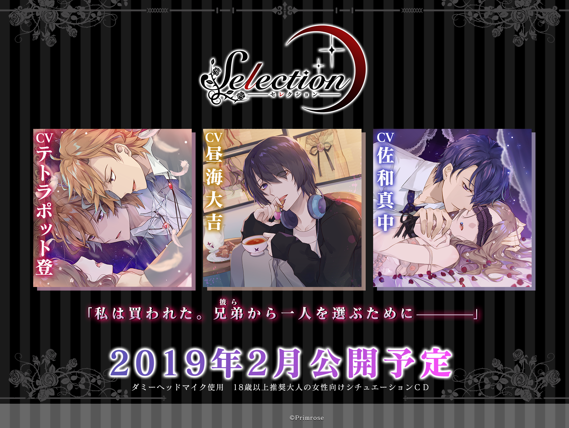 ティザーサイト用画像